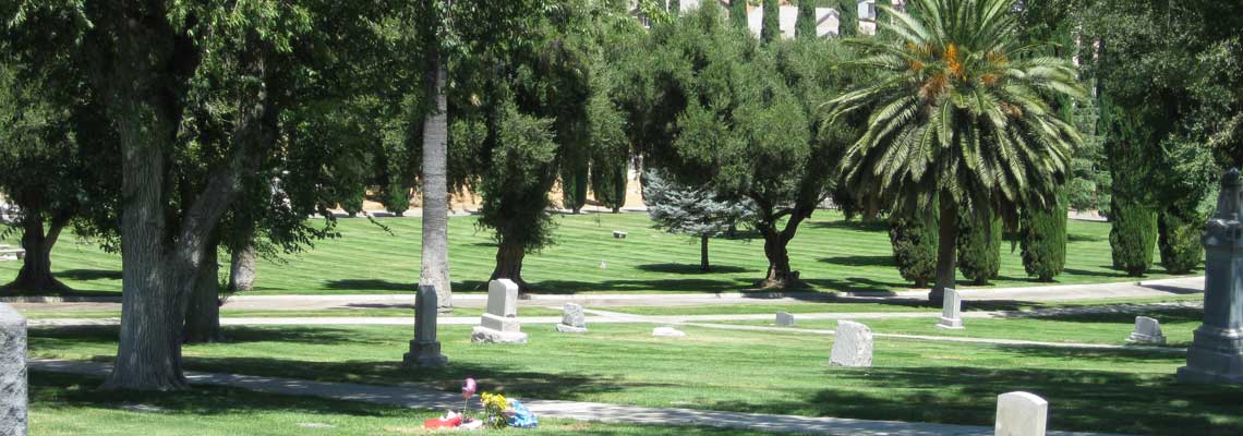 Picture of Grave Markers and Palm Trees at Stewart Sunny Slope Cemetery.
